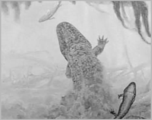地球经历了5次生物大灭绝