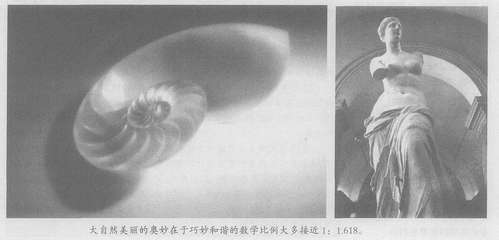 关于_美_的科学思考_上__陈炬涛.pdf - Adobe Acrobat Pro DC