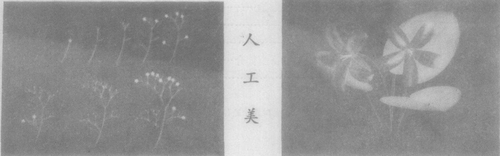 15.6