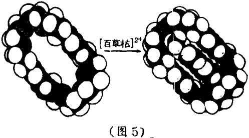 2.2.5