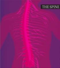 说明: http://www.nature.com/nature/outlook/spine/images/cover_large.jpg