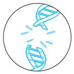 http://www.the-scientist.com/March2015/genome_1.jpg