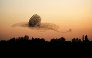 http://www.nature.com/polopoly_fs/7.32956.1451907340!/image/GettyImages-537023587CMYK.jpg_gen/derivatives/landscape_630/GettyImages-537023587CMYK.jpg
