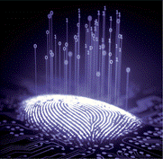 https://d2ufo47lrtsv5s.cloudfront.net/content/sci/357/6346/7/F2.medium.gif